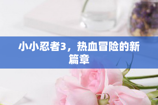 小小忍者3,热血冒险的新篇章 小小忍者3,热血冒险的新篇章