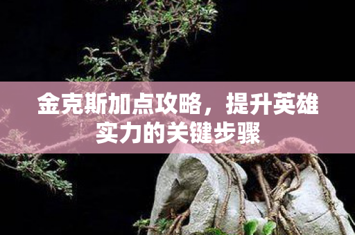 金克斯加点攻略,提升英雄实力的关键步骤 金克斯加点攻略,提升英雄实力的关键步骤
