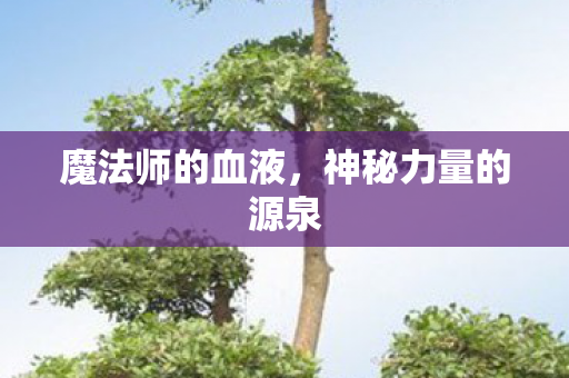 魔法师的血液,神秘力量的源泉 魔法师的血液,神秘力量的源泉