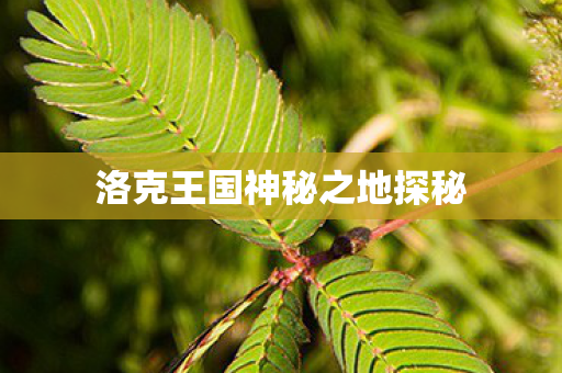 洛克王国神秘之地探秘 洛克王国神秘之地探秘