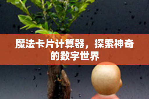 魔法卡片计算器,探索神奇的数字世界 魔法卡片计算器,探索神奇的数字世界
