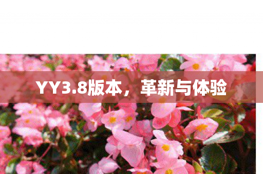 YY3.8版本,革新与体验 YY3.8版本,革新与体验