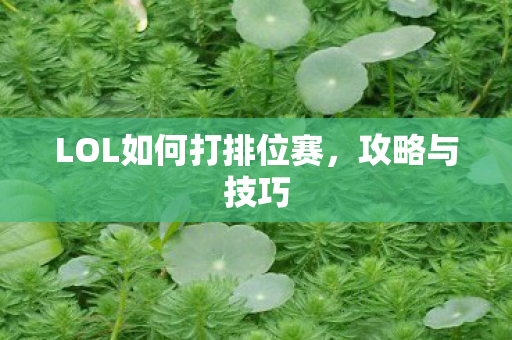 LOL如何打排位赛,攻略与技巧 LOL如何打排位赛,攻略与技巧