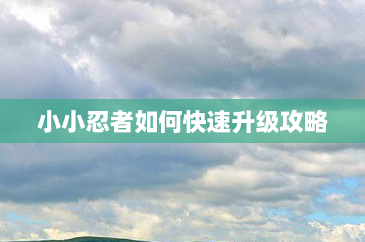 小小忍者如何快速升级攻略