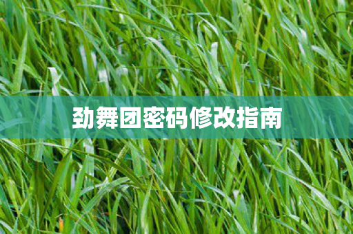 劲舞团密码修改指南 劲舞团密码修改指南