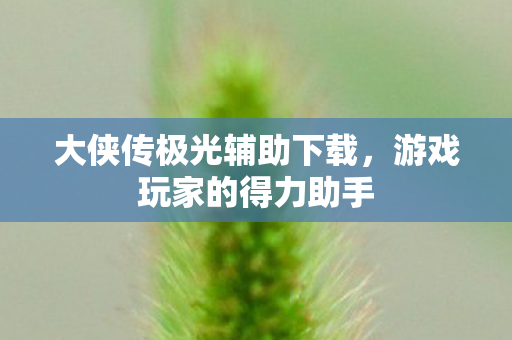 大侠传极光辅助下载,游戏玩家的得力助手 大侠传极光辅助下载,游戏玩家的得力助手