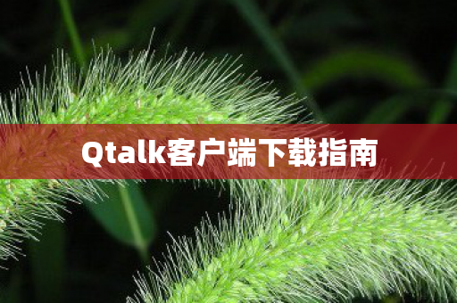 Qtalk客户端下载指南 Qtalk客户端下载指南