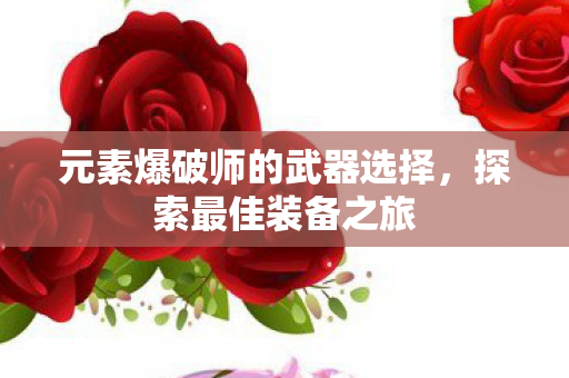 元素爆破师的武器选择，探索最佳装备之旅