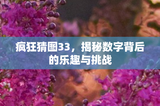 疯狂猜图33,揭秘数字背后的乐趣与挑战 疯狂猜图33,揭秘数字背后的乐趣与挑战