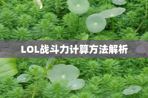 LOL战斗力计算方法解析 LOL战斗力计算方法解析