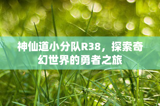 神仙道小分队R38,探索奇幻世界的勇者之旅 神仙道小分队R38,探索奇幻世界的勇者之旅