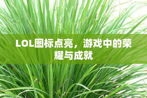 LOL图标点亮,游戏中的荣耀与成就 LOL图标点亮,游戏中的荣耀与成就