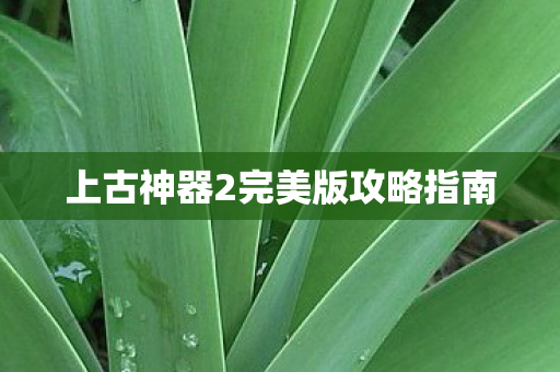 上古神器2完美版攻略指南 上古神器2完美版攻略指南