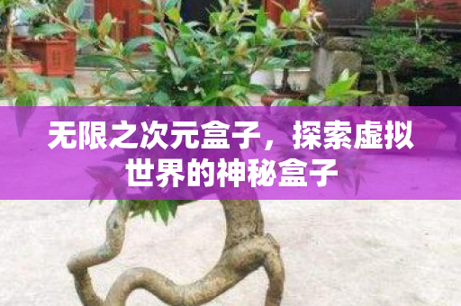 无限之次元盒子,探索虚拟世界的神秘盒子 无限之次元盒子,探索虚拟世界的神秘盒子