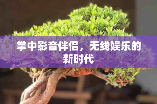 掌中影音伴侣,无线娱乐的新时代 掌中影音伴侣,无线娱乐的新时代