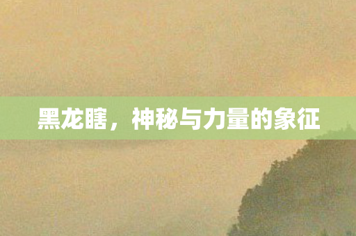 黑龙瞎,神秘与力量的象征 黑龙瞎,神秘与力量的象征