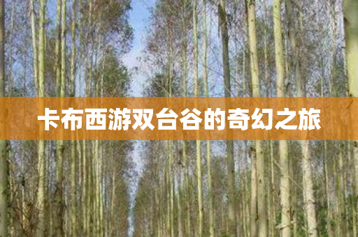 卡布西游双台谷的奇幻之旅 卡布西游双台谷的奇幻之旅