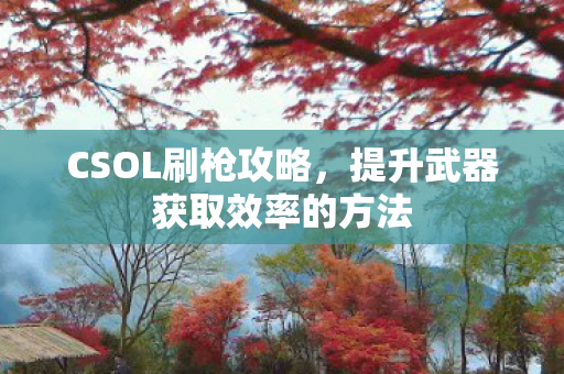 CSOL刷枪攻略，提升武器获取效率的方法
