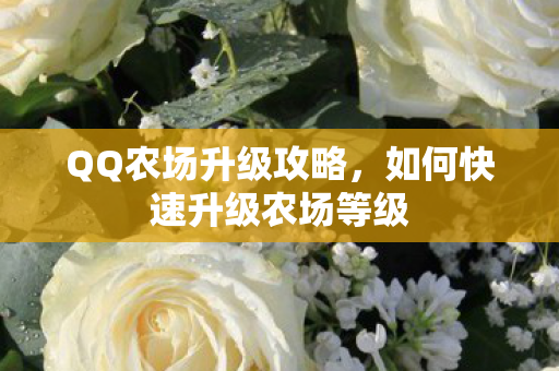 QQ农场升级攻略,如何快速升级农场等级 QQ农场升级攻略,如何快速升级农场等级