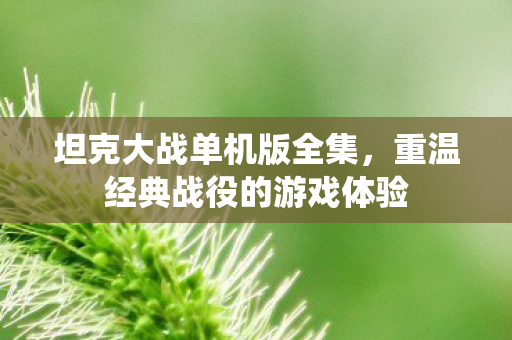 坦克大战单机版全集,重温经典战役的游戏体验 坦克大战单机版全集,重温经典战役的游戏体验