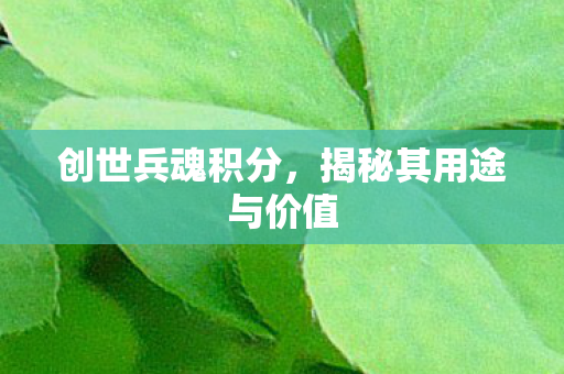 创世兵魂积分,揭秘其用途与价值 创世兵魂积分,揭秘其用途与价值