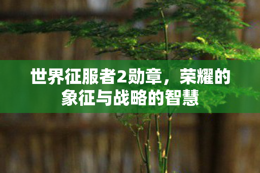 世界征服者2勋章,荣耀的象征与战略的智慧 世界征服者2勋章,荣耀的象征与战略的智慧