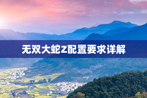 无双大蛇Z配置要求详解 无双大蛇Z配置要求详解