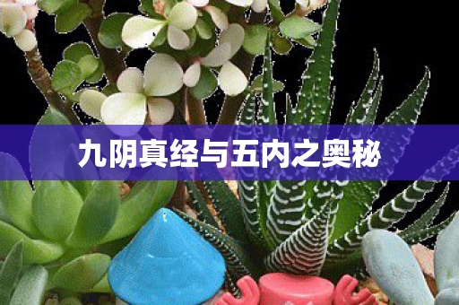 九阴真经与五内之奥秘 九阴真经与五内之奥秘
