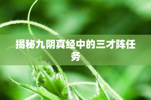 揭秘九阴真经中的三才阵任务 揭秘九阴真经中的三才阵任务