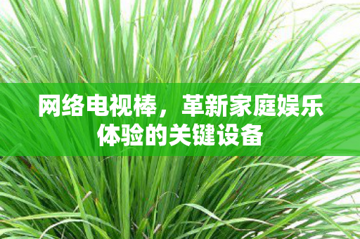 网络电视棒,革新家庭娱乐体验的关键设备 网络电视棒,革新家庭娱乐体验的关键设备