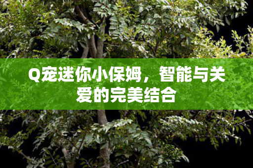 Q宠迷你小保姆,智能与关爱的完美结合 Q宠迷你小保姆,智能与关爱的完美结合