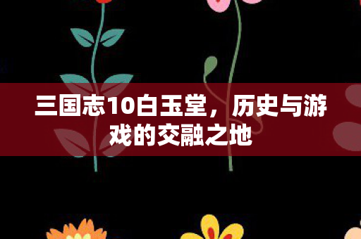 三国志10白玉堂,历史与游戏的交融之地 三国志10白玉堂,历史与游戏的交融之地