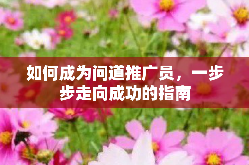 如何成为问道推广员,一步步走向成功的指南 如何成为问道推广员,一步步走向成功的指南