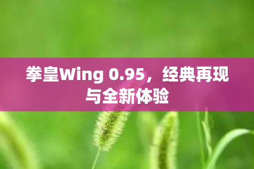 拳皇Wing 0.95,经典再现与全新体验 拳皇Wing 0.95,经典再现与全新体验