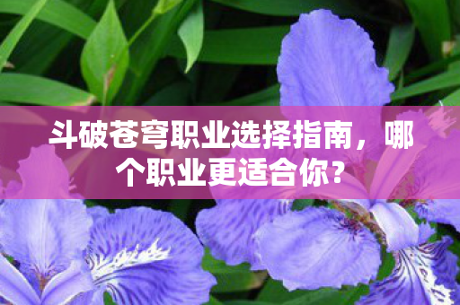 斗破苍穹职业选择指南,哪个职业更适合你? 斗破苍穹职业选择指南,哪个职业更适合你?