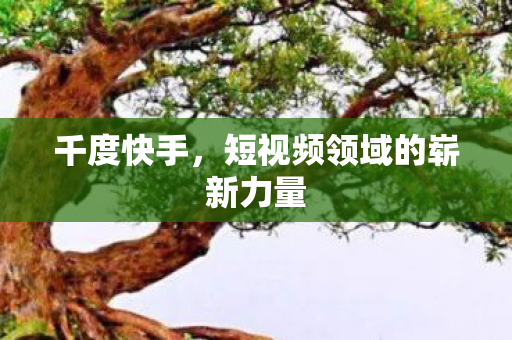 千度快手,短视频领域的崭新力量 千度快手,短视频领域的崭新力量