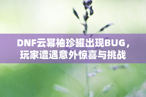 DNF云幂袖珍罐出现BUG,玩家遭遇意外惊喜与挑战 DNF云幂袖珍罐出现BUG,玩家遭遇意外惊喜与挑战