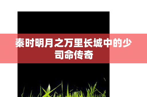 秦时明月之万里长城中的少司命传奇 秦时明月之万里长城中的少司命传奇