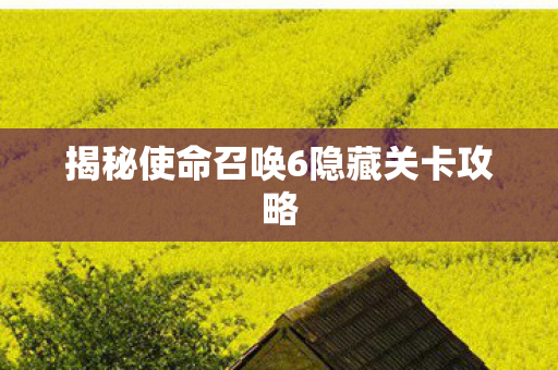 揭秘使命召唤6隐藏关卡攻略 揭秘使命召唤6隐藏关卡攻略