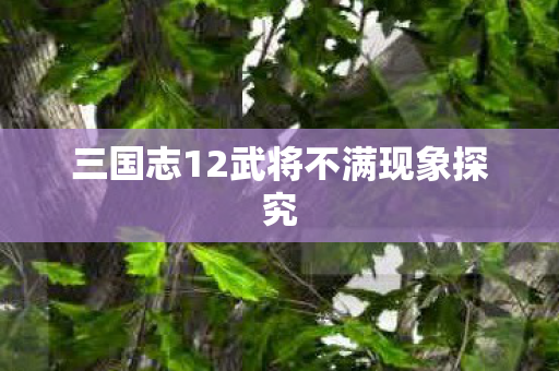 三国志12武将不满现象探究 三国志12武将不满现象探究