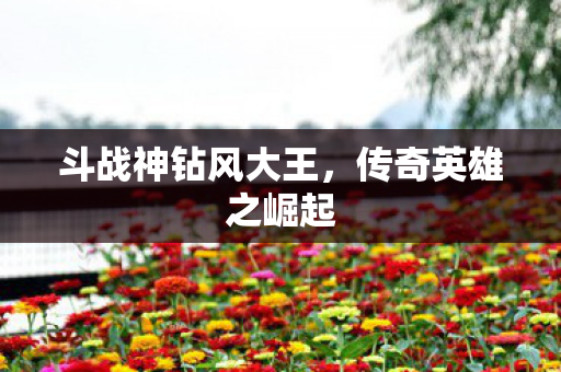 斗战神钻风大王，传奇英雄之崛起