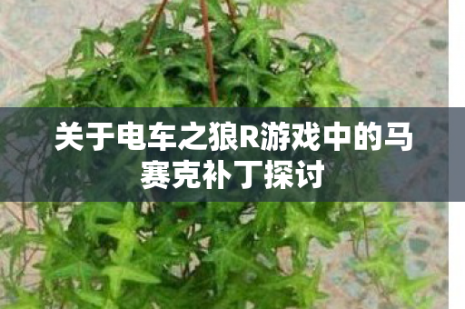 关于电车之狼R游戏中的马赛克补丁探讨
