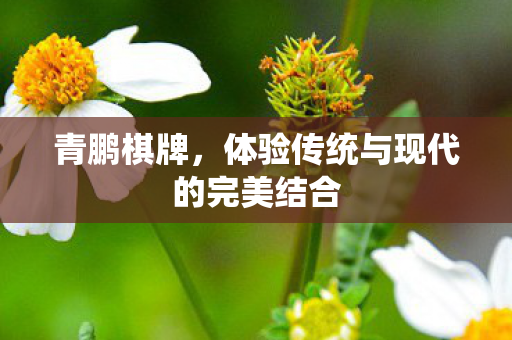 青鹏棋牌,体验传统与现代的完美结合 青鹏棋牌,体验传统与现代的完美结合