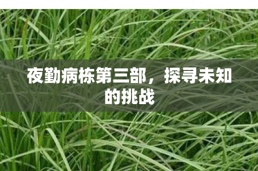 夜勤病栋第三部,探寻未知的挑战 夜勤病栋第三部,探寻未知的挑战