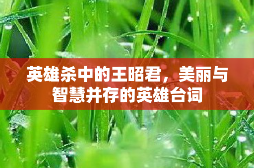 英雄杀中的王昭君，美丽与智慧并存的英雄台词
