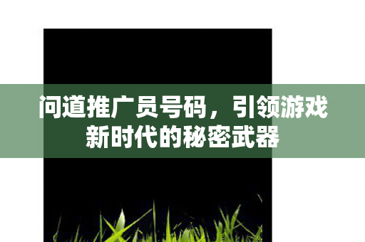 问道推广员号码，引领游戏新时代的秘密武器