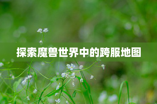 探索魔兽世界中的跨服地图 探索魔兽世界中的跨服地图