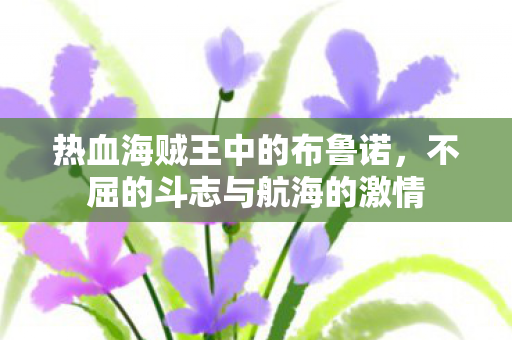 热血海贼王中的布鲁诺,不屈的斗志与航海的激情 热血海贼王中的布鲁诺,不屈的斗志与航海的激情