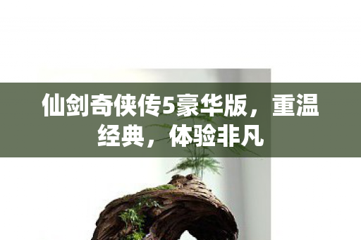 仙剑奇侠传5豪华版，重温经典，体验非凡