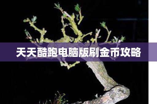 天天酷跑电脑版刷金币攻略